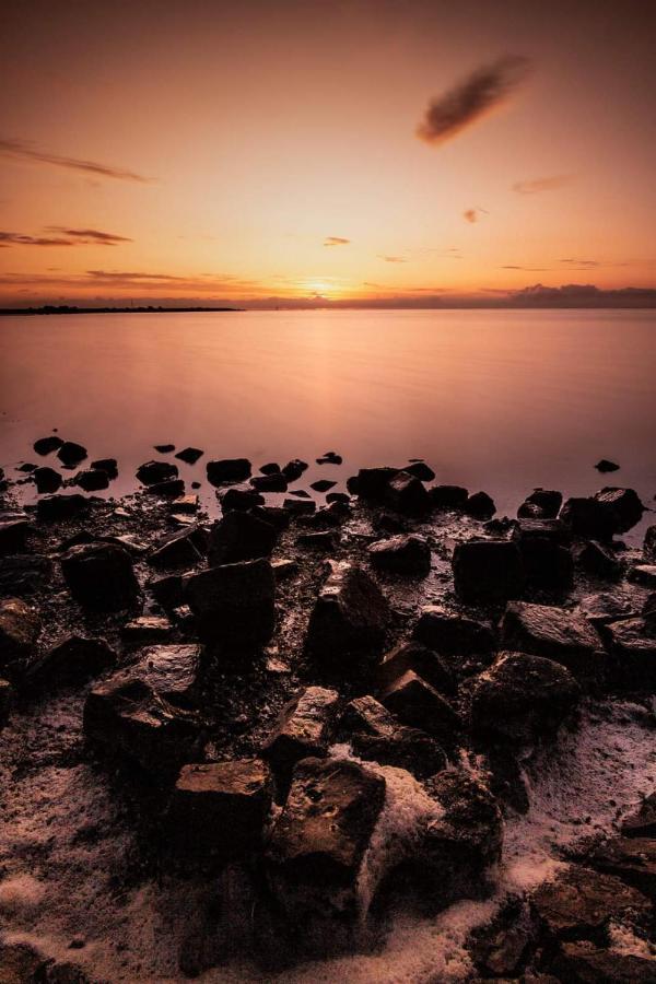 Vissershuisje Aan De Waddenzee Paesens Екстериор снимка